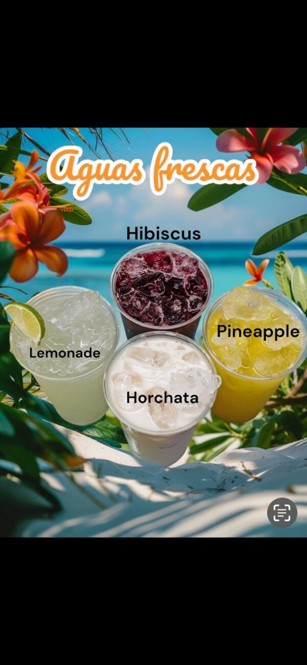 Bebidas Drinks
